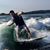 David Paull's profile image