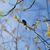 Mary Yaple's profile image