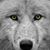 Kevin Mcnamara's profile image