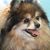 Harmony Pendelton's profile image