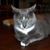 Kristi Phillips Moore's profile image