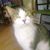 Taydra Brookshire's profile image