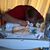 Matthew Chisler's profile image
