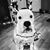 Casey Rae's profile image
