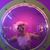 Alice Chow's profile image