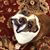 Linda Wirick Flannery's profile image