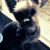 SooJung Park's profile image