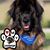 Janis Cook's profile image