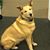 Bert Wilkerson's profile image