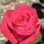 Crystal Mabry Adkison's profile image