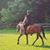 Alana Kekel's profile image