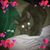 June Stewart's profile image