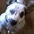 Renee Richeson's profile image