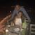 Laura Hogya's profile image