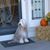 Pam Iselin's profile image
