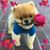 David Guayavito Acosta's profile image