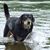 Sandi Meegan's profile image