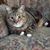 Kym Erickson-Sparks's profile image