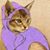 Victoria Hasbrouck's profile image