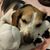 Stephanie Stallings's profile image