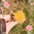 Susan Pereira's profile image