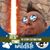 David Caraveo's profile image