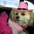 Gloria Holland D'Amico's profile image