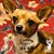 Emily Dollar Dockery's profile image