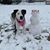 Cyndie Fleagle's profile image