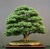Chavon K.'s profile image