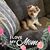 Linda Lou Cherry's profile image