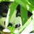 Kristina Ferullo's profile image