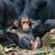 Deneen Marie Ascenzo's profile image