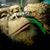 Adam Minton's profile image