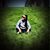 Evelin Franco's profile image