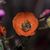 Kathy Lahr's profile image