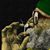 Melvin Barnes's profile image