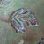 Lesley Ann Abbott's profile image