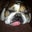 Tara B.'s profile image