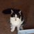 Diana LeAnn Green's profile image