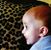 Josh Monday's profile image