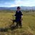 Lisa Wetzel Hay's profile image