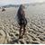Victoria Jaramillo's profile image