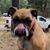 Mary Mallon Nelson's profile image