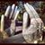 Rick Ingalls's profile image