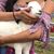 Mireya Soto's profile image