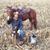 Andy Holverson's profile image
