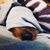 Lisa Rhiannon's profile image