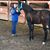 Kristen Foster Hall's profile image