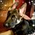Pam Lyne's profile image